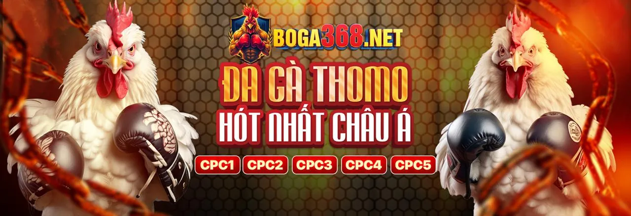 Đá gà trực tuyến KV99 Chính Thức với các trận đấu hấp dẫn